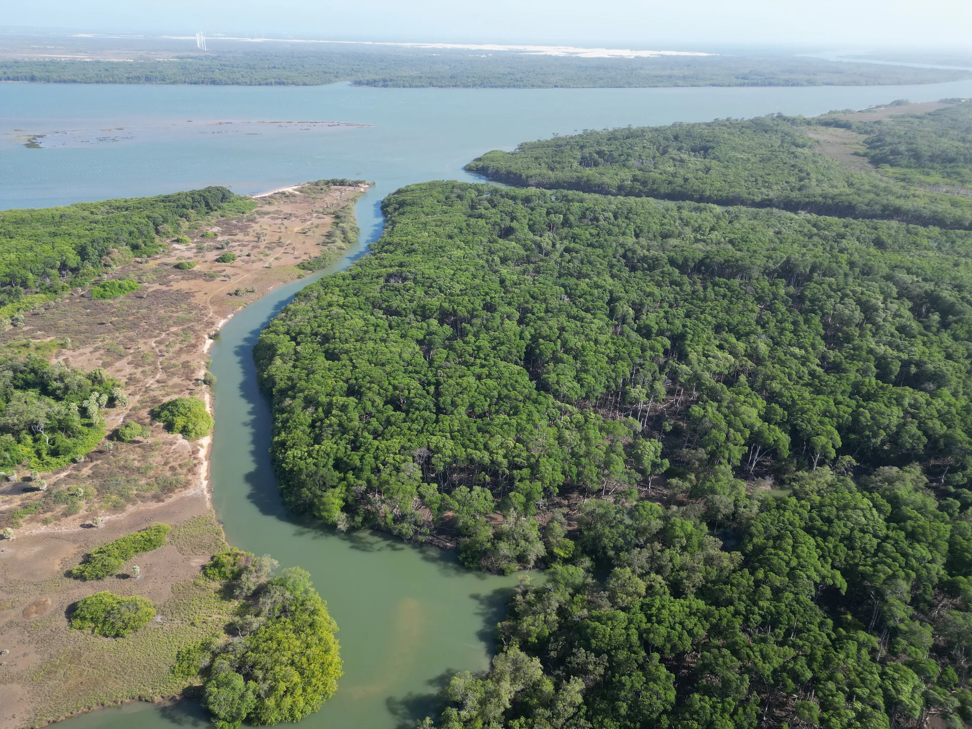 Delta do Parnaíba